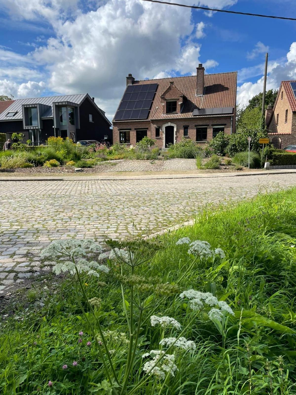 B&B Den Biesthoek 그림버겐 외부 사진